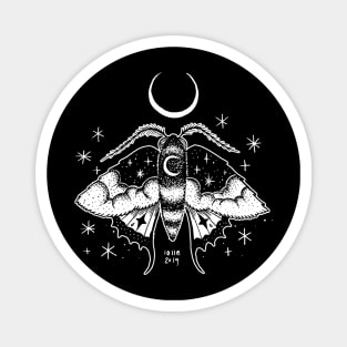 Night Moth Magnet